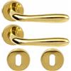 DACAN PROTECTION Maniglie Porte Interne in Alluminio con Rosetta 45 mm, Set Completo con Accessori per Porte Legno Bagno Camera Ufficio, Facile da Installare (Oro Lucido)