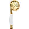 CIENCIA Soffione Doccia Oro Universale Telefoni Doccia in Ottone Soffione per Doccia Alta Pressione, BS126