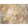 murando - Carta da parati Piume bianche 500x350 cm Fotomurali in TNT Murale alla moda Decorazione da Muro XXL Poster Gigante Design Soggiorno Cameretta Carta per Pareti Piume Astratto f-C-0486-a-a