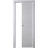 Generico Porta Scorrevole in MDF, 210x60/70/80/90 cm, Design Moderno, Reversibile, con Kit Maniglie e Telaio (Acero Neve, 2100x800)
