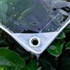 XINGWANGG Telo Impermeabile PVC Trasparente 0,3mm Telone di Protezione per Esterno,Gazebo,Balcone,Giardino,Tetto per Piante,Telo di Copertura con Occhielli,400g/㎡,Personalizzabile (150cm x 300cm)