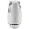 Giacomini R468 Testa termostatica con sensore a liquido R468X001 GIACOMINI