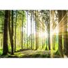 murando PREMIUM Carta da parati Foresta 3D 350x256 cm Fotomurali in TNT Murale alla moda Decorazione da Muro XXL Poster Gigante Design Carta per pareti Paesaggio Natura Alberi Tramonto c-B-0098-a-b