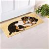 parpyon® Zerbino Ingresso casa Divertente Vulcano Piccolo cm 53x23 Tappeto Antiscivolo entrata scalino per Interno da Esterno tappeti Moderni in Cocco (CM 23X53, Disegno-5)