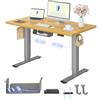 FLEXISPOT Scrivania Regolabile in Altezza 120x60 cm, 2 Motori, Piano Unico 25 mm, Memoria & Display Altezza, Ergonomica con Gestione Cavi, Ripiano Sottoscrivania, Ganci e Clip Fermacavi
