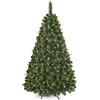 DWA Albero di Natale Tradizionale in Scatola, Colore: Verde Bosco (Young Pine, 220 cm)