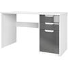 Vladon Logan Desk, scrivania per Ufficio con 2 cassetti e 1 Anta, Bianco Opaco/Grigio Lucido (129 x 76 x 60 cm)