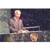 1art1 Nelson Mandela Poster Nazioni Unite, 3 December 1999 Stampa 91x61 cm