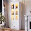Rosebibi Moderna vetrina LED bianca opaca da 165 cm di altezza con porta USB, telecomando a 16 colori, vetrina in vetro con 2 cassetti (2 cassetti)