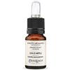 Erbolinea - Estratto Aromatico 10ml - Classiche (UVA e Mirtilli)
