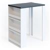 Vicco Tavolo bar alto, Antracite/bianco, 57 x 80 cm, con ripiani aperti per una conservazione salvaspazio