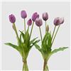 EDG Enzo de Gasperi Tulipano gommoso Fiore Artificiale per Decorazione da Esterno, Bouquet 5 Tulipani Finti 2 Varianti Viola