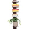 CASSETTE POSTALI ALUBOX ALUBOX DEMETRA Libreria Da Parete In Alluminio E Lamiera Zincata 83,5X23X21 Cm Sospesa 6,6 Kg Con 5 Mensole 17x23 Cm Salvaspazio Con Inserti A L E Attrezzatura (RUGGINE)
