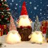 Akxlax Gnomi Natalizi Luminosi Grandi Timer 3 Pezzi, Gnomo Natale Regalo Natale Babbo Natale Luminoso, Elfi Natalizi in Peluche, Decorazioni Natale Casa, Grigio Rosso (A, nessun Timer)