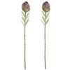 Generic 2 carciofi artificiali, frutti finti, rami di carciofi artificiali, bouquet finto per casa, matrimonio, ufficio, decorazioni (viola)
