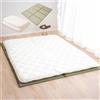 EMOOR Materasso Futon Giapponese Premium CLASSE e Tatami Pieghevoli 140 x 200 cm Set, Materassino da Pavimento Sikibuton Igusa Naturale
