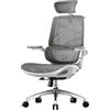 SIHOO M59AS Sedia da Ufficio Ergonomica, con braccioli ribaltabili 3D, doppio schienale e supporto lombare adattivo, sedia in rete ideale per l'ufficio a casa(Grigio)
