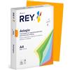 REY ADAGIO REY® ADAGIO, carta riprografica, potiron, 80 g, A4, PEFC™, risma da 500 fogli