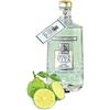 BAGNOLI DOLCE VITA DRY GIN BERGAMOTTO GIARDINI CAPRESI 70 CL