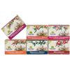 VALVERBE Kit Valverbe Frutta All Day 6 tisane da 20 filtri cad