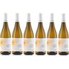 Tenute Orestiadi Confezione 6 bottiglie | Vino ETNA BIANCO DOC Sicilia | Cantina Tenute Orestiadi | Selezione Vini dell'Etna (Bianco Etna Doc)