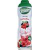 Teisseire Sciroppo di Granatina - Bottiglia da 60cl