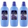 Felce Azzurra 3x Felce Azzurra - Ammorbidente Lavanda e Iris, Profumo Inconfondibile, Capi Morbidi - 30 Lavaggi - 2Lt