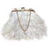 MOISTRI Feather Purse Prom Borse e Borse con Catene Staccabili Struzzo Borsa a Tracolla e Pochette Borse Da Partito Bianco