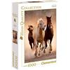 Clementoni Puzzle, Multicolore, 1000 Pezzi