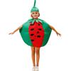 Generico Bambini Vestito Frutta Costume Carneval Vestiti Cibo Fragolavestiti Di Bambino Di Frutta E Verdura Divertente Boys Costume Blox Fruit Vestito Per Feste Carneval E Spettacoli (Green-h, One Size)