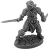 REAPER 1 x HYBORIAN HERO - Reaper Miniature Bones USA Dungeon Dwellers - tabletop figurine role playing game jeux de role - 7116