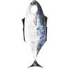 Generico Costume da pesce per adulto, divertente pesce spugna, vestito in maschera, costume da vestire realistico e accogliente per giochi di ruolo in maschera, cosplay