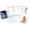 yilemeiyile Sex cards. Giochi erotici per momenti spicy. Con 6 coupon di coppia e 50 carte. Idee regalo D26-P327