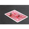 ZQION 10 magneti da 0,3 mm, per carte magiche da primo piano, trucchi magici, illusioni, accessori magia