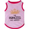 Izefia Magliette per Cani Vestiti Traspiranti Principessa Compleanno Ragazzo Ragazza Canotta Estiva Fresca Maglietta per Piccolo Cane Cucciolo Gatto Medio