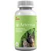 Generico Artennua 90 compresse 475 mg, mangime complementare per cani e gatti con artemisinina, per il trattamento di patologie e il sostegno del sistema immunitario