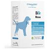 DYNAMOPET | DìTe Medium - Alimento Complementare per Supportare Rene e Cuore di Cani, Confezione 20 Bustine da 10 g - una Bustina ogni 20 kg di Peso dell'Animale