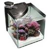 NEWA MORE 50 REEF NERO