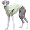 Generic T-shirt Levriero Italiano Per Cani Di Taglia Piccola E Media, Gilet Estivo Leggero E Fresco, Vestiti Whippet, Camicie Traspiranti Per Animali Domestici, Abbigliamento Da Esterno(Green,2XL)