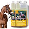 EMMA Olio di lino Cavalli Cani Barattolo Olio di semi di lino Cavallo Olio Omega 3 I 3 6 Acidi grassi I Spremuto a freddo 100% I Manto lucido Pelle Digestione Cambio di pelo Olio di semi di lino Gatti 2*1L