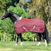 e EQUITYUM Coperta Box Equityum Camellia 300gr, Coperta di Ottima Fattura, Utile per Proteggere il Cavallo dagli Sbalzi di Temperatura (145 cm, Bordeaux)