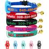 SF Custom Collare per gatti personalizzato, Collare ID per gatti in nylon staccabile ricamato con nome dell'animale e numero di telefono con custodia impermeabile e campana (solido)