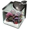 Newa 30 Reef-Acquario completo colore: nero