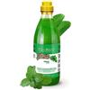 GNCPets IV San Bernard Fruits Shampoo Menta 500ml - Shampoo per Cani: Rinfrescante Menta e Vitamina B6, Deodorante e Rivitalizzante, Pelle Morbida e Setosa. Prenditi cura del tuo animale domestico