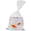Kcgani Confezione da 50 sacchetti trasparenti per il trasporto di pesci vivi, 35 x 20 cm, sacchetti per acquario, spessore extra 3,15 mm, contenitori a doppia chiusura per piccoli pesci vivi e