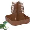 Generico Dragon Food Bowl a barba, di cibo per rettili, Alimentatore clinico per piccoli animali con scala, Ciotole da alimentazione in terrario per lucertole, rane, gechi, con scala di climBali