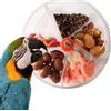 Generico Foraging Toys for Birds, Creative Parrot Foraging Toys, ABS Parrots Chewing Toy, Intelligence Development Training Tool, Compartmented Food Box, Interactive Wheel Feeder, 13x13cm