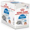 Royal Canin Indoor Sterilised 7+ | 12 x 85 g | Alimento completo per gatti da interno a partire dai 7 anni | Per gatti sterilizzati che vivono in casa | Pezzetti in gelatina
