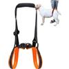 Generic Supporto per gambe posteriori per cani, cinghie regolabili, supporto per gambe 'anca degli animali domestici, per cani di taglia grande, piccola, disabili, feriti, scale, passeggiate quotidiane