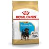 Royal Canin Rottweiler 31 Junior 3 kg, confezione da 1 (1 x 3 kg)